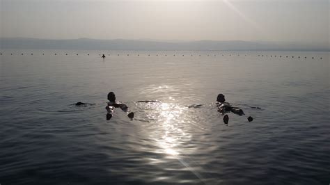 死海中的盐层高清图片下载-正版图片600134864-摄图网