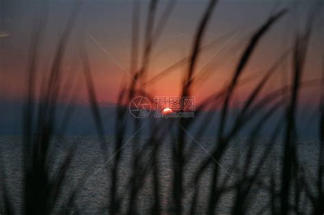 沙滩上的夕阳草海高清图片下载-正版图片506743954-摄图网