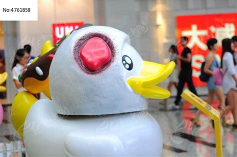 白色小鸭子高清图片下载_红动中国