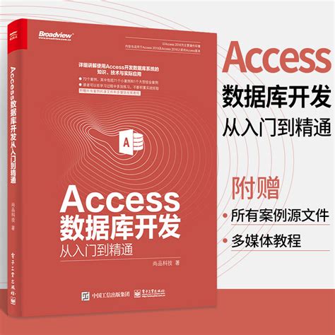 Access数据库开发从入门到精通 access数据库系统开发经验技巧 Access开发数据库系统知识技术与实际应用 Access数据库开发 ...
