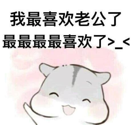 老公表情包图片
