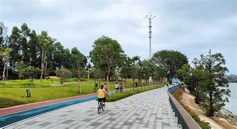 东莞：望万路（道滘段）升级改造项目预计今年6月完工|东莞市_新浪新闻
