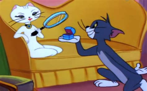 《猫和老鼠》女性猫咪扮演着导火索的角色，究竟她们有何魅力能如此着迷-新闻资讯-高贝娱乐