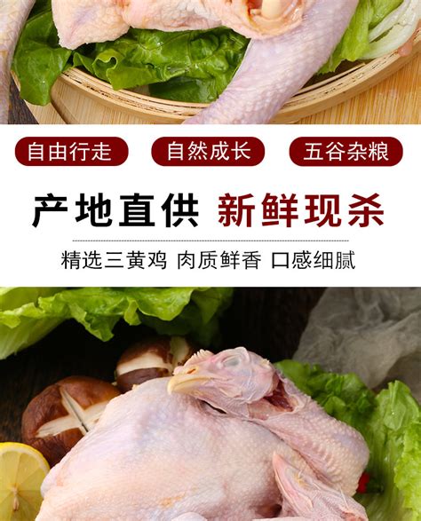 2023年活鸡价格行情走势（活鸡批发价格）-食品商务网