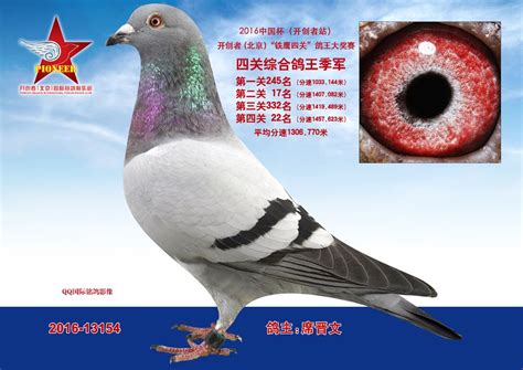 开创者(北京)国际赛鸽俱乐部相册图片 - 中信网各地信鸽俱乐部