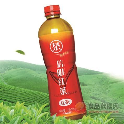 茶能信阳红茶饮料500ml_冰红茶_食品代理网