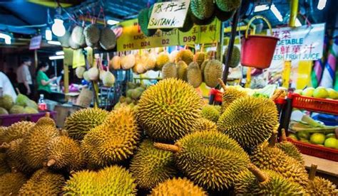 马来西亚榴莲进入旺季 价格有所下降 | 国际果蔬报道