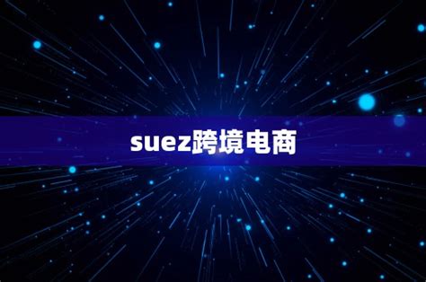 SUEZ：跨境电商领导者，用科技连接千万用户_天极网