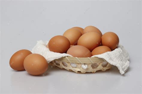 鸡蛋的构造与产蛋机制_土鸡网