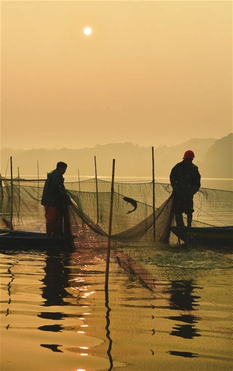 出海归来的渔船和渔民高清图片下载_红动中国