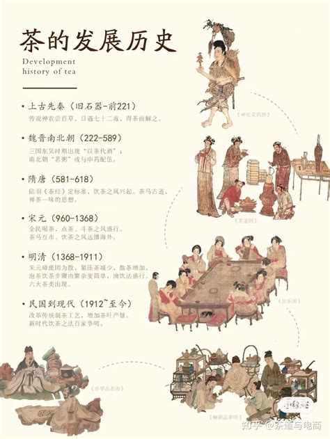 茶的历史演化以及传播