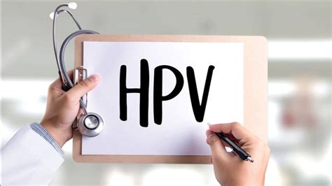 企业信息 | 人类乳头瘤病毒（HPV）核酸检测-英诺唯真生物科技有限公司