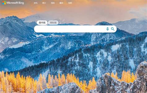 bing搜索引擎官网入口地址 必应bing搜索入口首页网址链接-皮皮游戏网