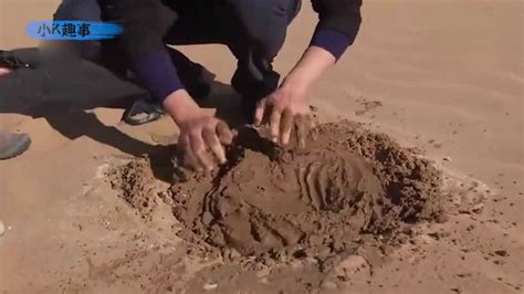 中国的点沙成土！只需要两分钟，就能把沙漠里的沙子变成土壤