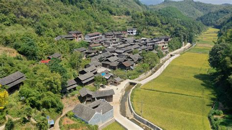 湖南邵阳城步南山牧场（南山大草原）两天露营,城步自助游攻略 - 马蜂窝