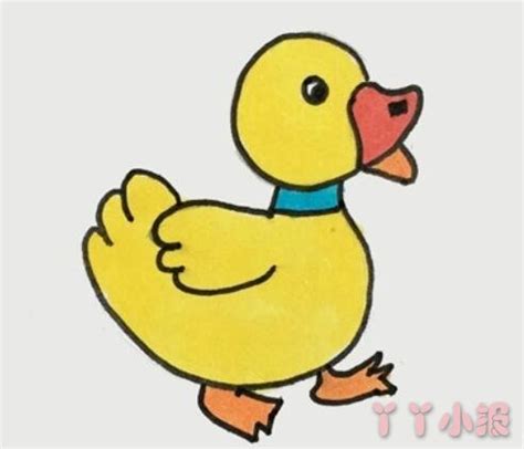 可爱的鸭子卡通画步骤图解 幼儿简单的动物简笔画 肉丁儿童网