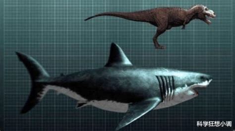 地球最强物种对决：沧龙VS巨齿鲨，谁才是进化以来最强生物？_腾讯视频