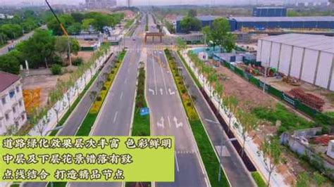 城市品质提升 | 江滨北街东延项目打造绿化精品道路