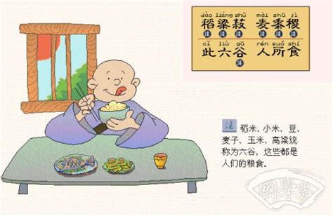 稻、黍、稷、麦、菽 、麻：中国5000年的五谷文明和冠以"胡番洋"的外来作物 | 说明书网