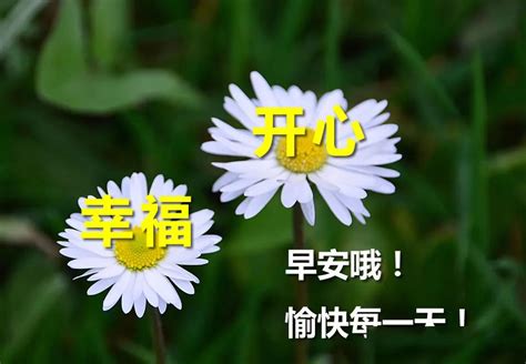 周一问候图片