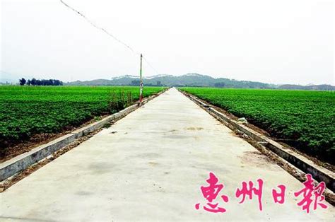 惠州市惠东县18.5万亩高标准基本农田建设明年初完成-广东省农业农村厅网站