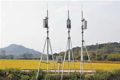 “云体检”+大数据 一粒米的5G之旅-广东省农业农村厅网站