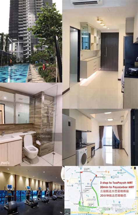 新加坡最大租房群在这！出租求租信息持续更新ing