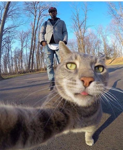 非主流猫胡子自拍头像