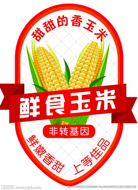 鲜食玉米标签 设计图__招贴设计_广告设计_设计图库_昵图网nipic.com