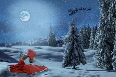 冬天的夜晚（寒夜）圣诞主题图片 - 免费可商用图片 - CC0素材网