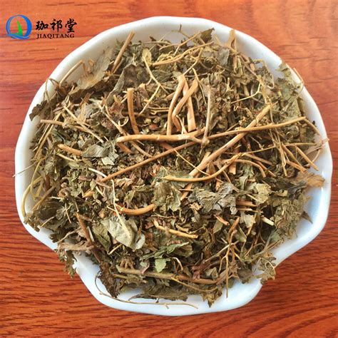 金沙藤图片