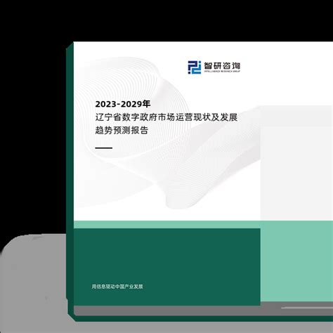2023-2029年辽宁省数字政府市场运营现状及发展趋势预测报告_智研咨询
