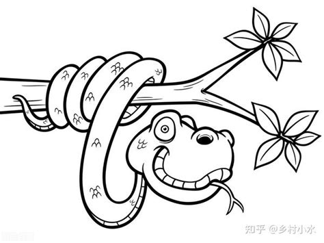 生态养蛇园设计图_蛇的图片_毒蛇网