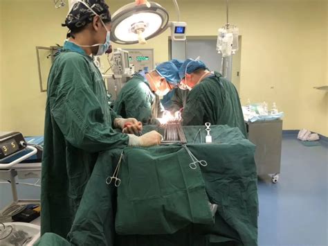 开屏新闻-省一院成功实施右侧颈部巨大肿瘤切除手术 为患者摘除2.65公斤肿瘤
