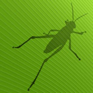 Introduction to Grasshopper with David Rutten | Rhino3D 中文博客