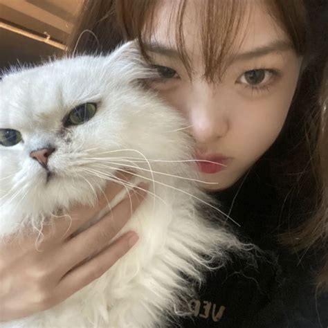 气质甜美女生头像抱猫
