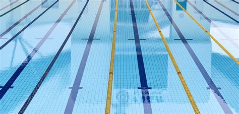 泳池砖 游泳池瓷砖 游泳池专用砖 标准泳池砖 体育馆池砖 蓝色-阿里巴巴