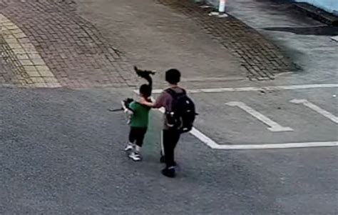 金华市12岁男孩捡到5岁男孩，与民警一同助其回家_安全动态