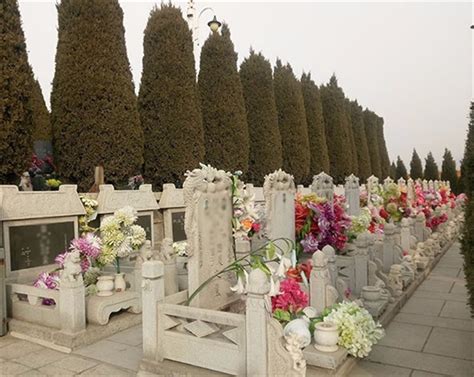 江苏洋河新区公益性公墓项目_陵园设计,公墓设计
