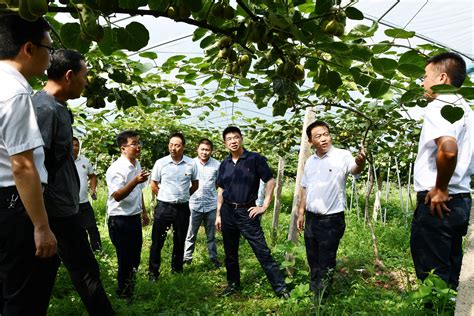 《中国教育报》头条关注铜仁职院“贴农惠农”特色发展之路