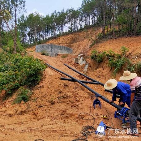 视频 | （水润民生）风雨无阻！五桂山“村村通”工程建设不停步