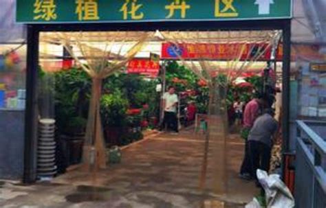 2022花地湾花鸟鱼虫市场购物,广州人最爱逛的观赏鱼市场坐...【去哪儿攻略】