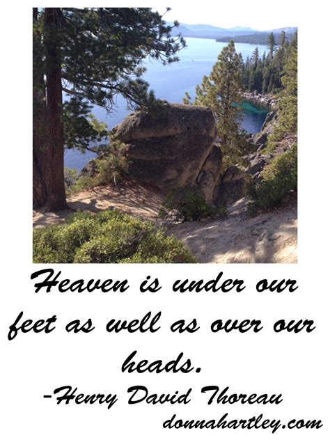 #Heaven is right here! - Hartley International