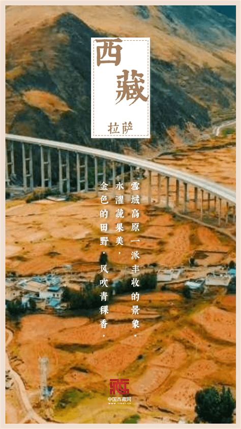 海报｜金秋西藏，又是一年好“丰”景_海口网