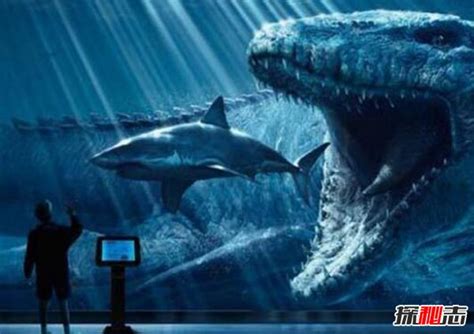 地球最强生物前三名 巨齿鲨咬合力超强海洋霸主-小狼观天下