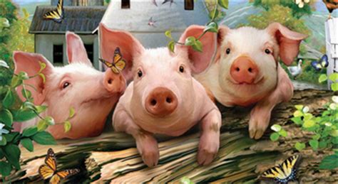 断奶仔猪饲养管理四项要素，把握好可有效提高养殖效益！ 学术天地 广东省畜牧兽医学会