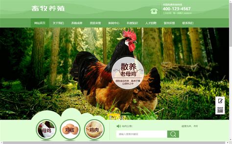 原乡源农业公司网站建设|农产品种植网站源码|生禽养殖网站模板-易优CMS