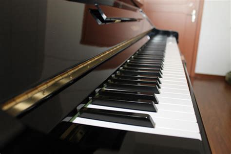 供应西奥（theo）钢琴 - 西奥钢琴乐器有限公司