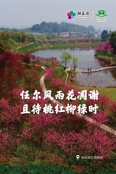 湖南文化旅游巡回推广营销系列活动走进常德-游乐-长沙晚报网