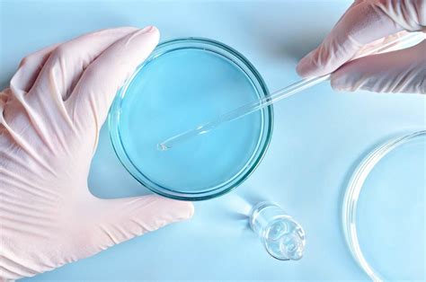 微生物检测-查士利华微生物应用技术（上海）有限公司